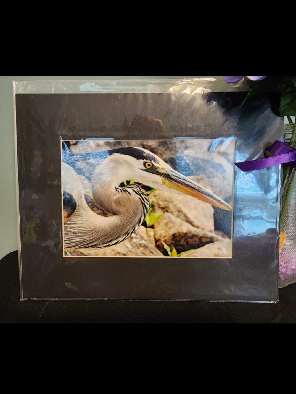 2/$13 Great Blue Heron Close Up Photography Print with Black Matte Frame - 8x10